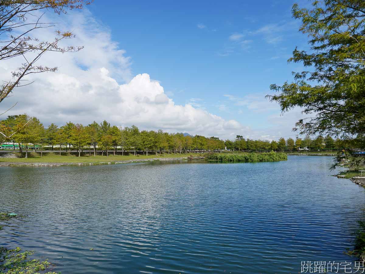 [壽豐景點]花蓮落羽松秘境「文忠生態養殖場」就在星巴克花蓮理想門市旁，水池被落羽松圍繞，根本就是全台最美釣魚池