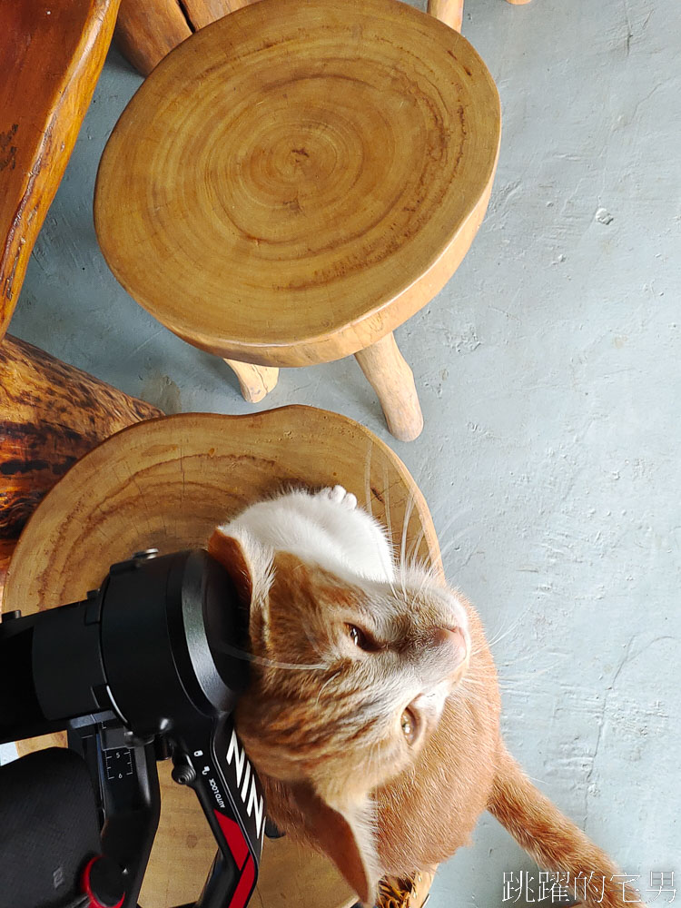 [193縣道咖啡廳]耕香園xSERA咖啡-玉里咖啡廳，親人可愛貓貓，使用當地食材，超厚肉排饅頭堡真心推薦，耕香園手作文創坊