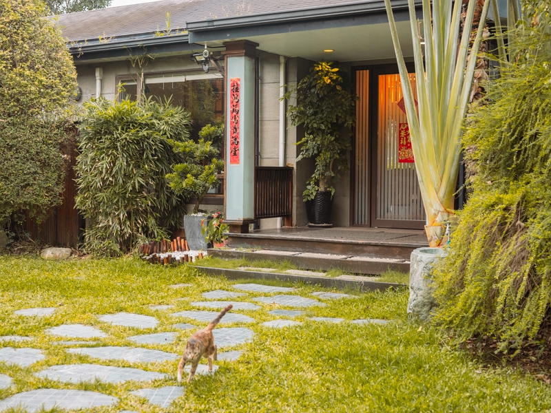 [花蓮民宿]金澤居民宿-會呼吸的健康住宅，寧靜舒適，被綠色植物包圍的吉安民宿