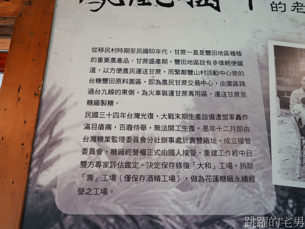 [壽豐美食]禾田野簡餐及窯烤比薩-郁郁蔥蔥大樹下的花蓮老宅餐廳、簡餐、甜點、好吃窯烤披薩，壽豐咖啡廳