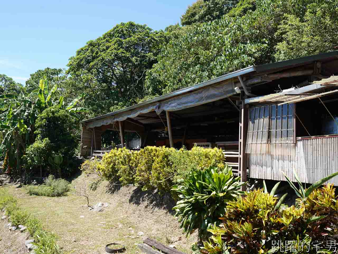 [花蓮景點體驗活動]高山森林基地-1個人即成團，輕鬆玩爬樹體驗玩到瘋，欣賞絕美太平洋海天一色，花蓮親子景點推薦