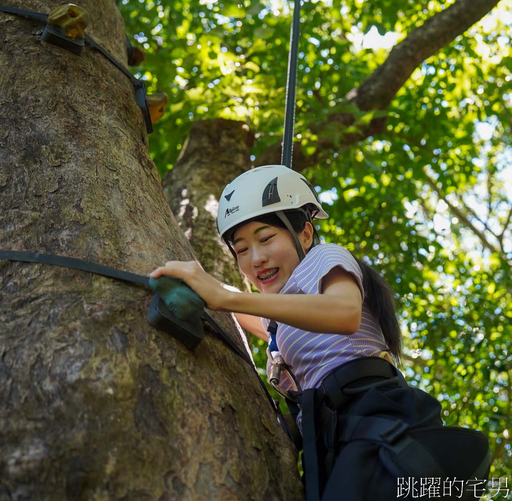 [花蓮景點體驗活動]高山森林基地-1個人即成團，輕鬆玩爬樹體驗玩到瘋，欣賞絕美太平洋海天一色，花蓮親子景點推薦