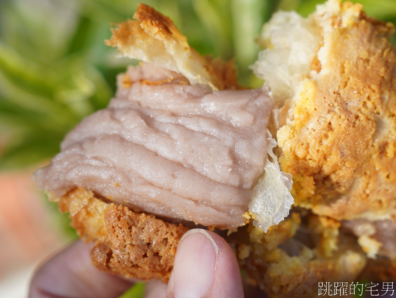 [花蓮美食]陳耀訓聯名花蓮將軍府OOA烘培坊-世界麵包冠軍金沙芋頭可頌還不吃一波