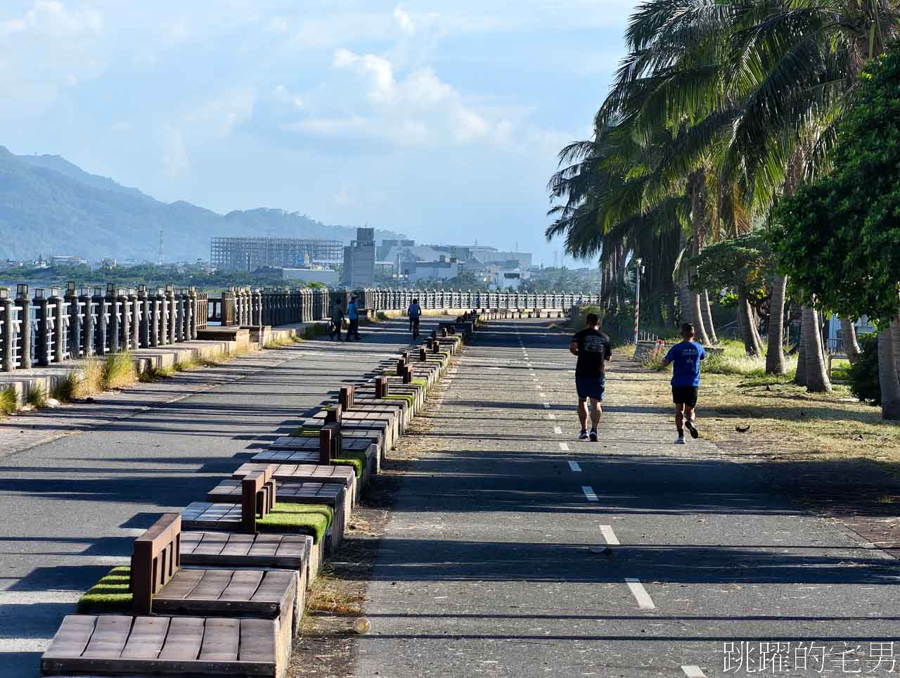 [花蓮親子景點]太平洋共融公園「花蓮最大軌道滑索遊具」晚上開燈給你玩! 怕曬太陽就來這裡了! 無障礙遊具，超大沙坑、大型攀爬遊具，太平洋公園南濱段、兩潭自行車道