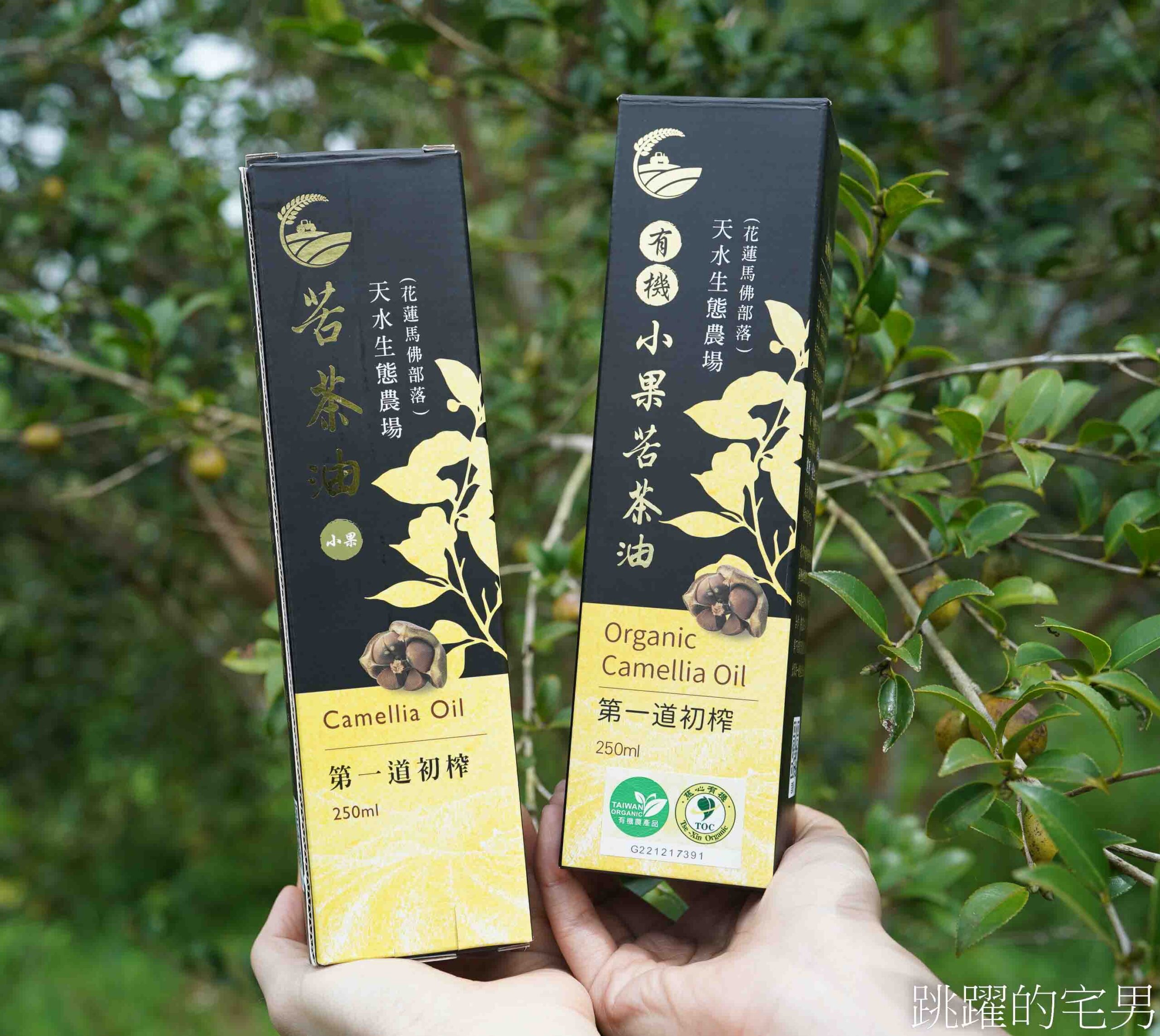 [台灣苦茶油推薦]天水生態農場-MUJI無印良品都能買到花蓮苦茶油，35位小農自然友善種植台灣原生種苦茶樹，2024金評獎茶油組優選，ITI國際風味評鑑3星，有機苦茶油、產履小果苦茶油