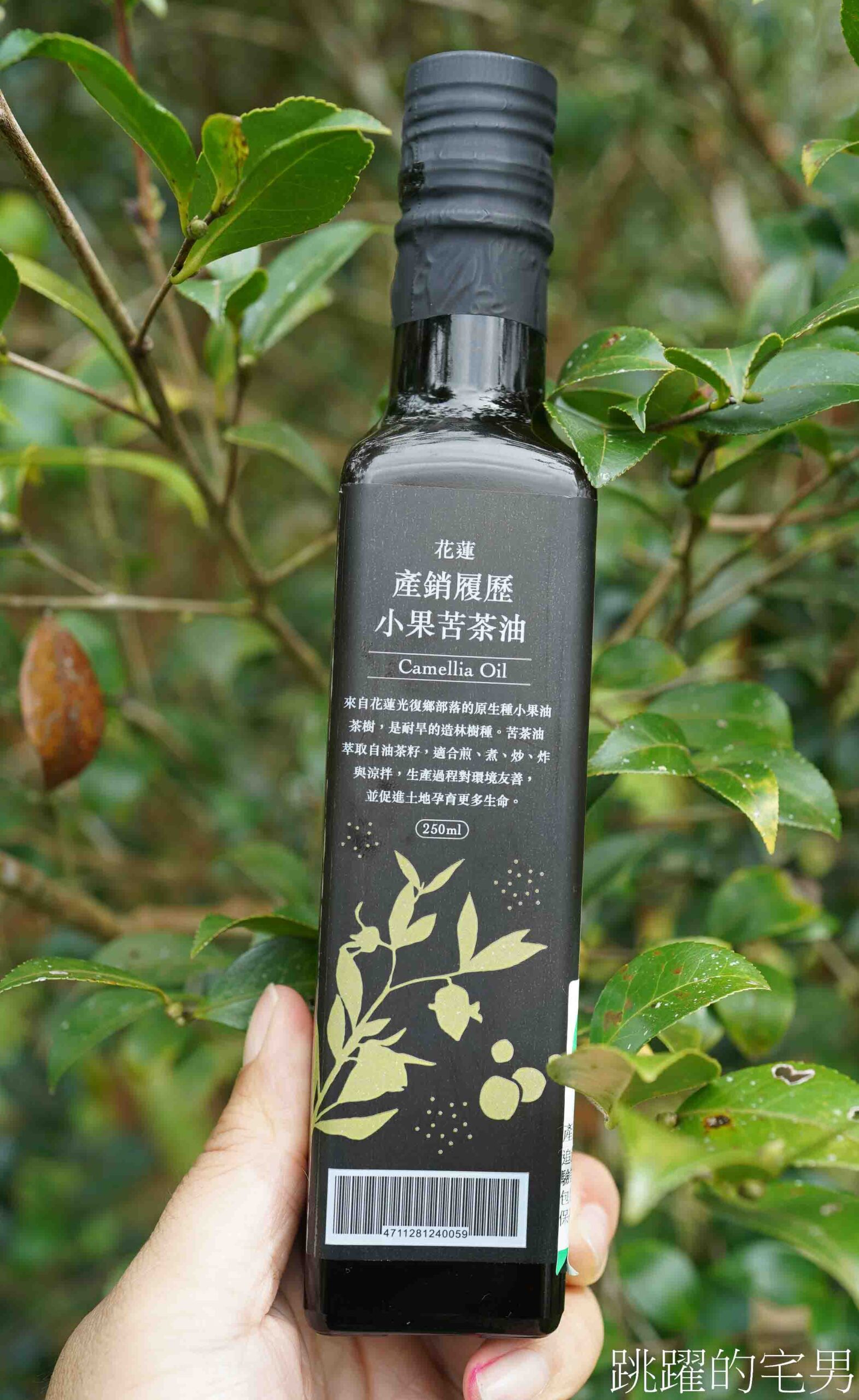 [台灣苦茶油推薦]天水生態農場-MUJI無印良品都能買到花蓮苦茶油，35位小農自然友善種植台灣原生種苦茶樹，2024金評獎茶油組優選，ITI國際風味評鑑3星，有機苦茶油、產履小果苦茶油