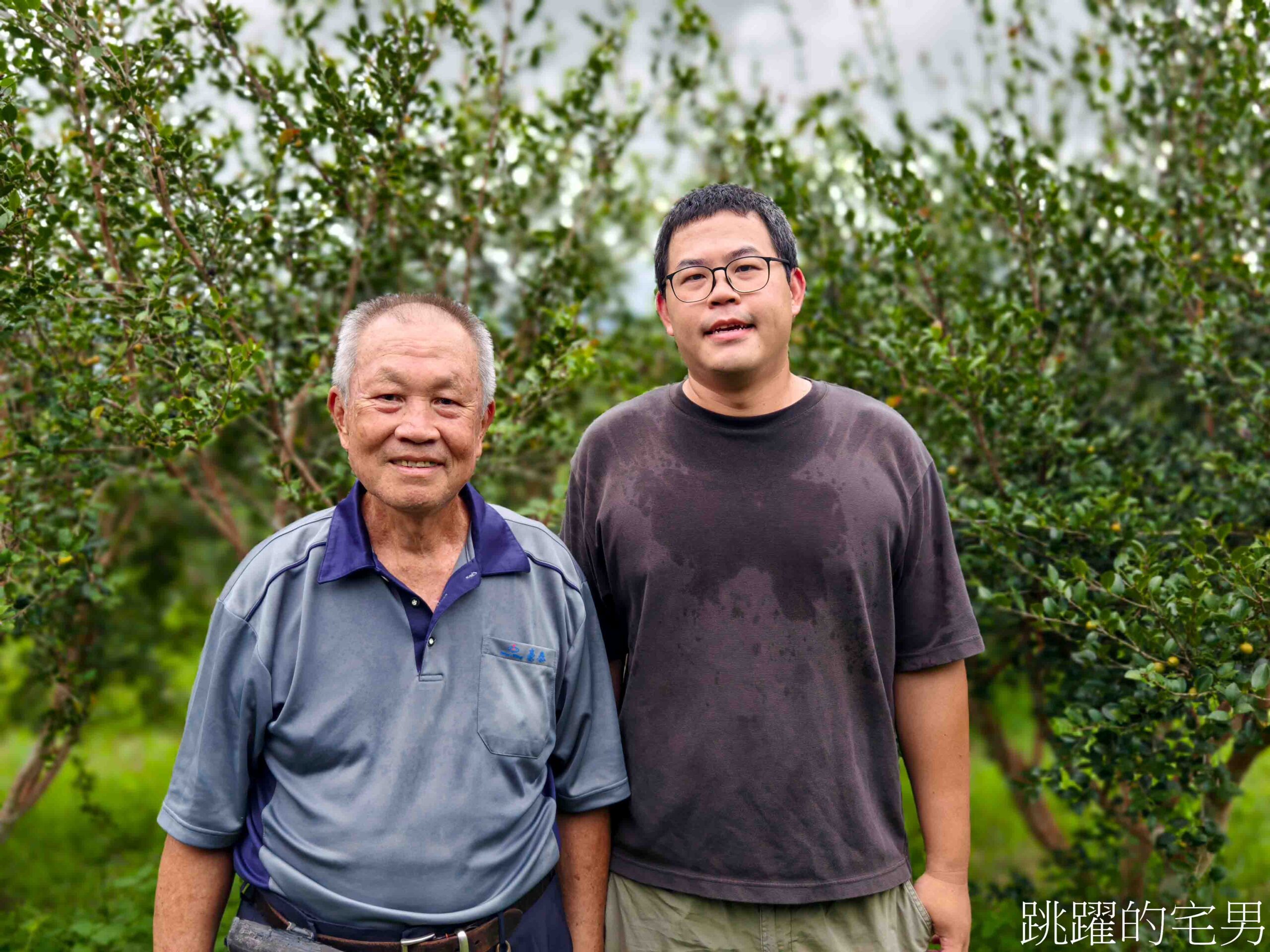 [台灣苦茶油推薦]天水生態農場-MUJI無印良品都能買到花蓮苦茶油，35位小農自然友善種植台灣原生種苦茶樹，2024金評獎茶油組優選，ITI國際風味評鑑3星，有機苦茶油、產履小果苦茶油