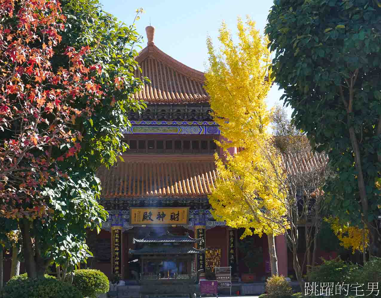 雲南旅行的美好瞬間-我去了大理古城、喜洲古城、巍山古城，有風的地方，原來當地習俗，貓是鎮宅神獸