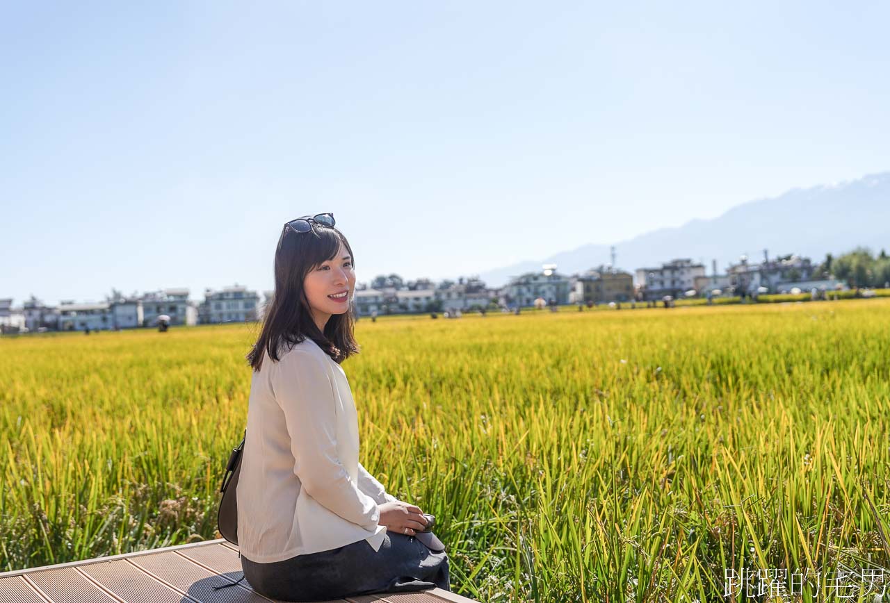 雲南旅行的美好瞬間-我去了大理古城、喜洲古城、巍山古城，有風的地方，原來當地習俗，貓是鎮宅神獸