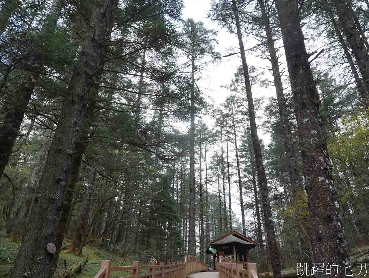 [雲南麗江旅遊]必去雲南景點-壯觀的玉龍雪山、夢幻藍月湖令人驚豔!