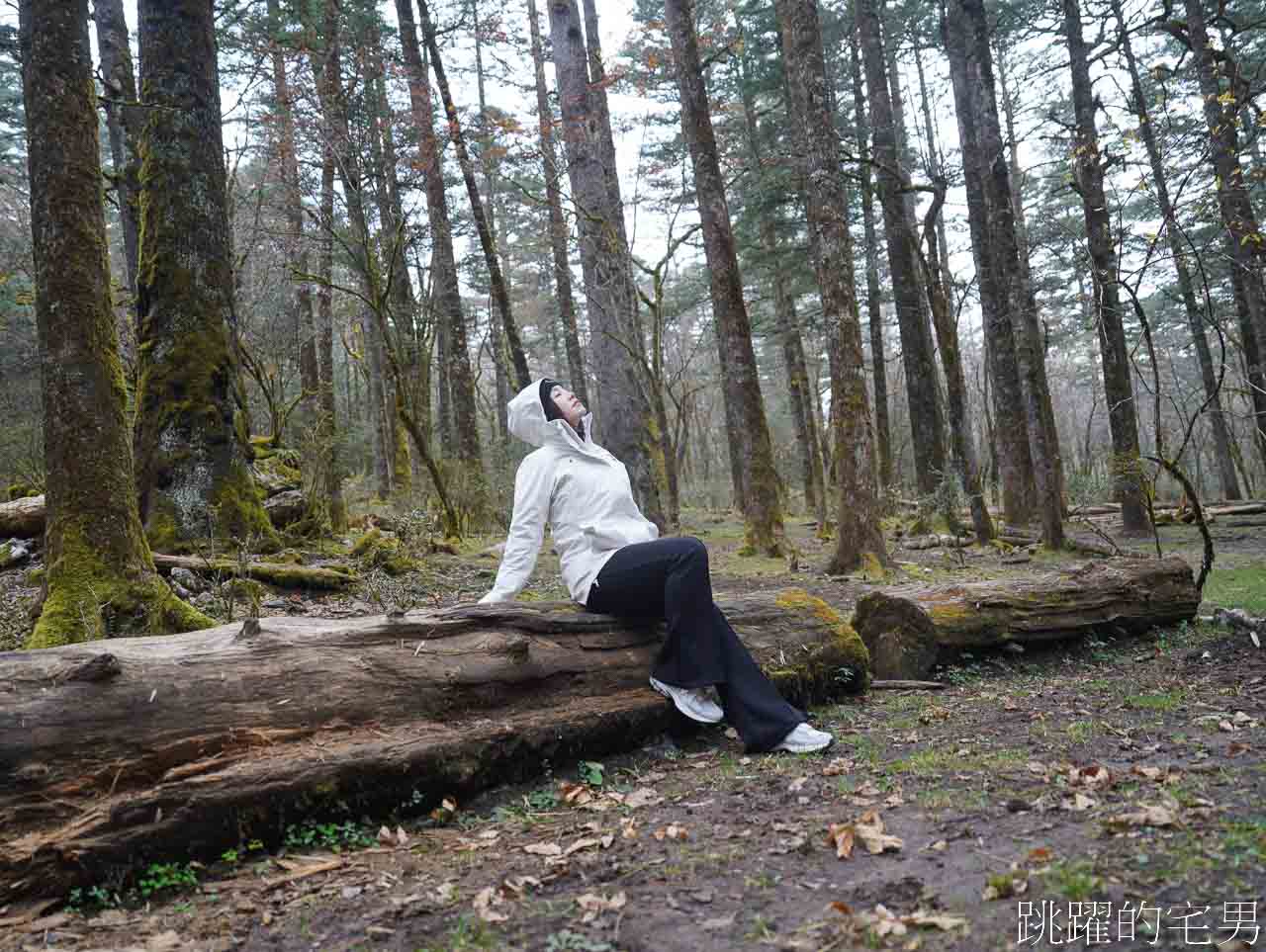 [雲南麗江旅遊]必去雲南景點-壯觀的玉龍雪山、夢幻藍月湖令人驚豔!