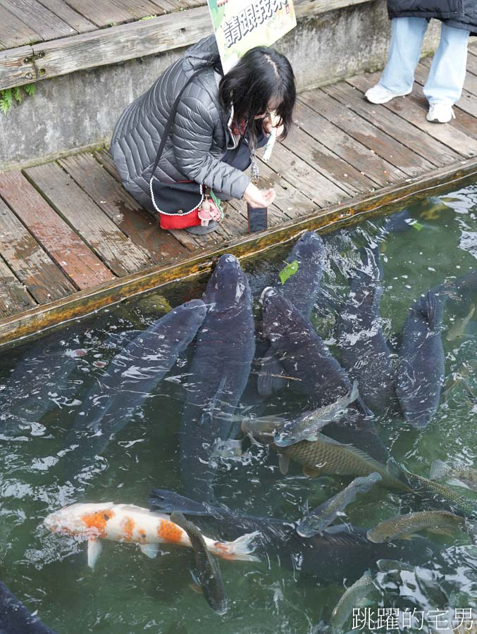 [花蓮旅遊]2025與農共舞出花So Good-花蓮農遊國際名廚來做原住民風味餐，一次吃遍花蓮五大休閒農業區的農產品