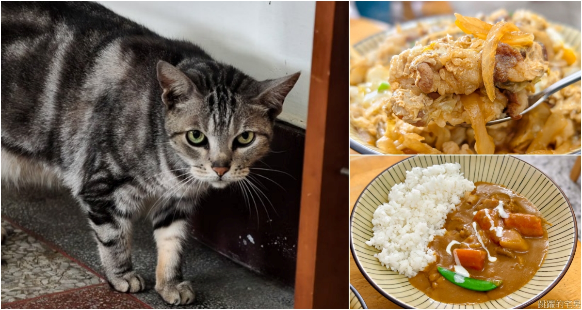 [吉安美食]鐵道牛丼家-大份量花蓮咖哩豬排飯一直改名字，老口味都沒變100分，店貓可愛親人 @跳躍的宅男