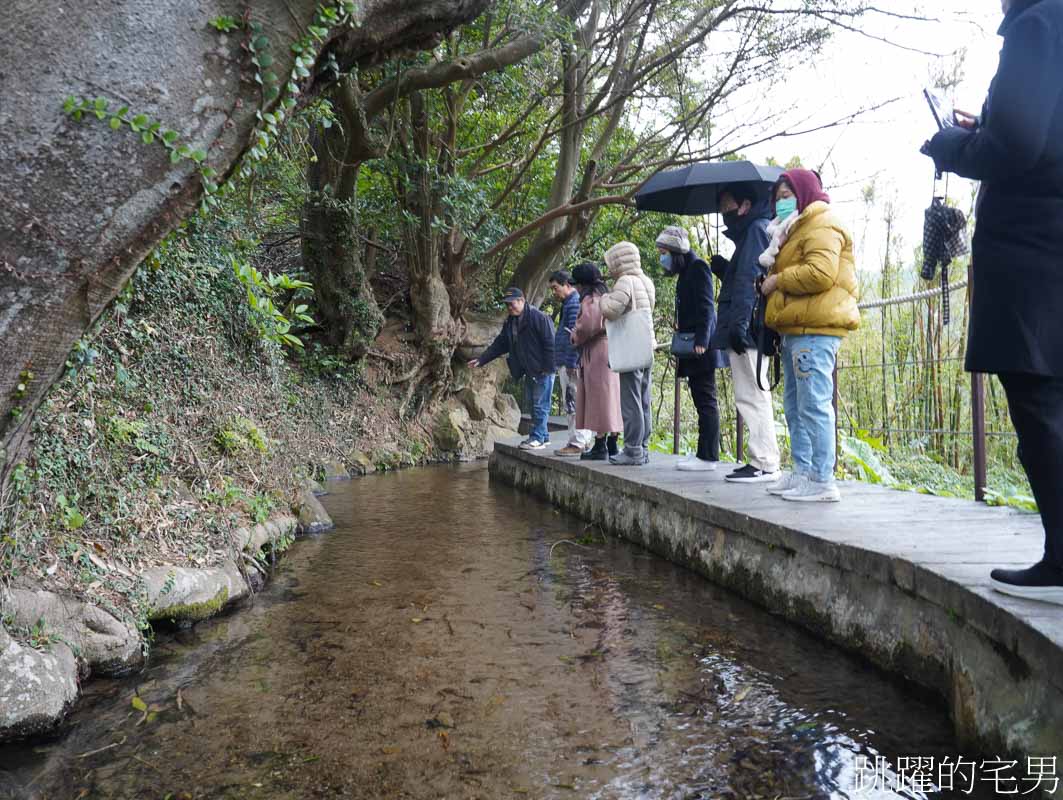 [台北秘境]草山水道藍寶石泉-千年湧泉傳說，湧泉有如藍寶石般美麗，瀑布自然景觀盡入眼簾，這絕對是陽明山秘境，藍寶石泉申請方式