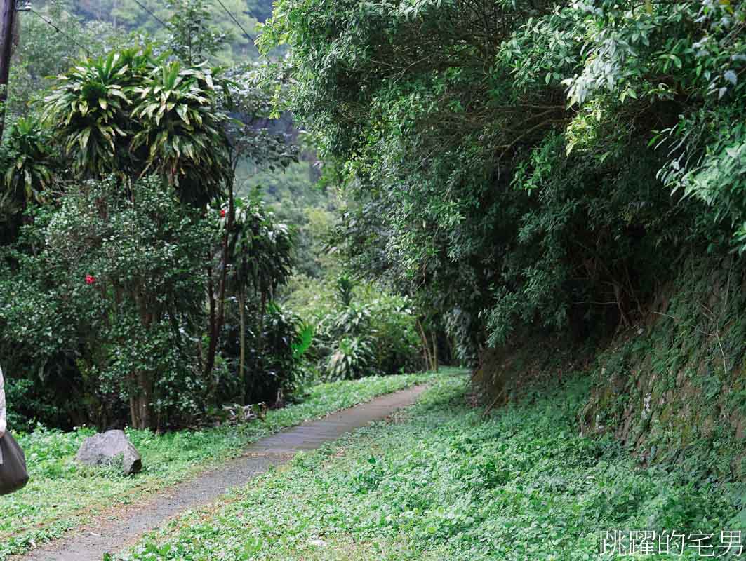 [台北秘境]草山水道藍寶石泉-千年湧泉傳說，湧泉有如藍寶石般美麗，瀑布自然景觀盡入眼簾，這絕對是陽明山秘境，藍寶石泉申請方式