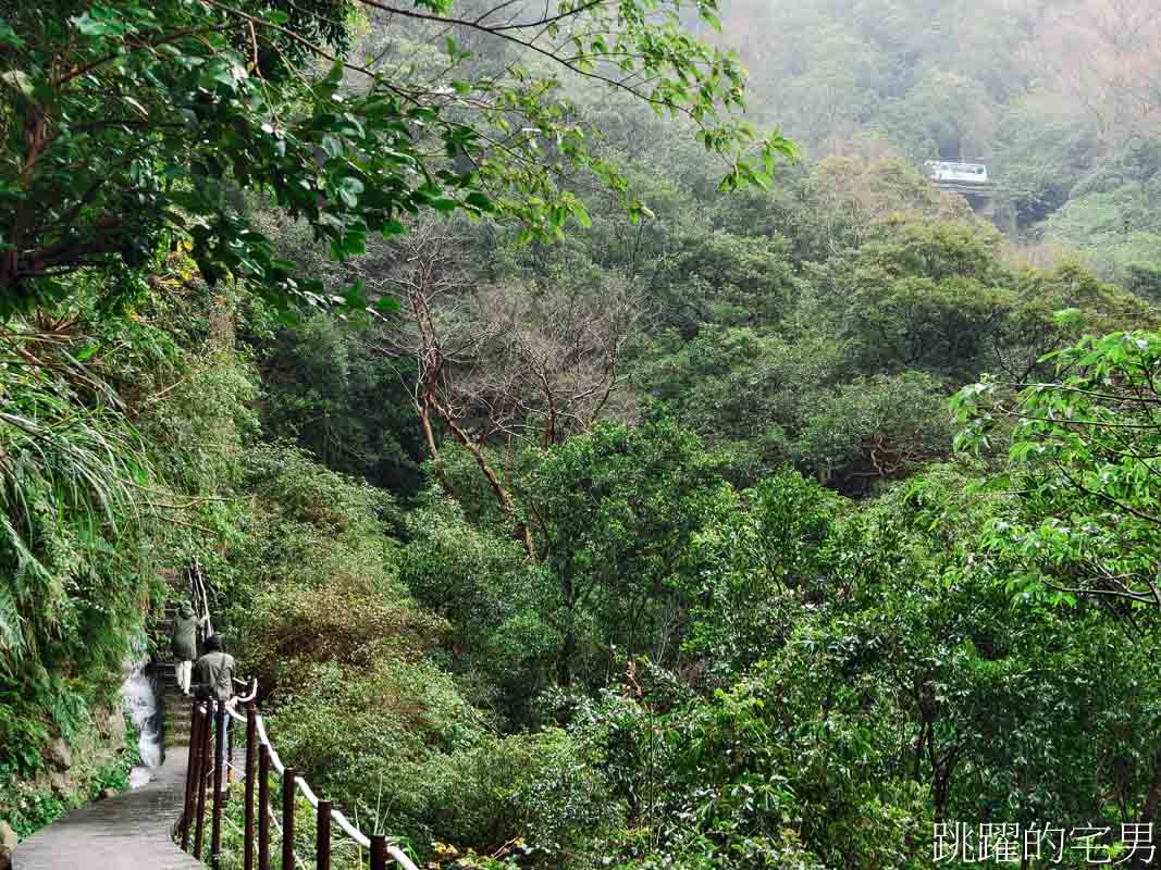 [台北秘境]草山水道藍寶石泉-千年湧泉傳說，湧泉有如藍寶石般美麗，瀑布自然景觀盡入眼簾，這絕對是陽明山秘境，藍寶石泉申請方式