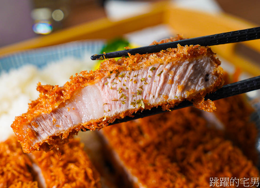 [西門町美食]拾士Shi-Shih日式洋食-大推西門町好吃炸豬排，連飯都好吃，我還以為是在日本，西門町寵物友善餐廳